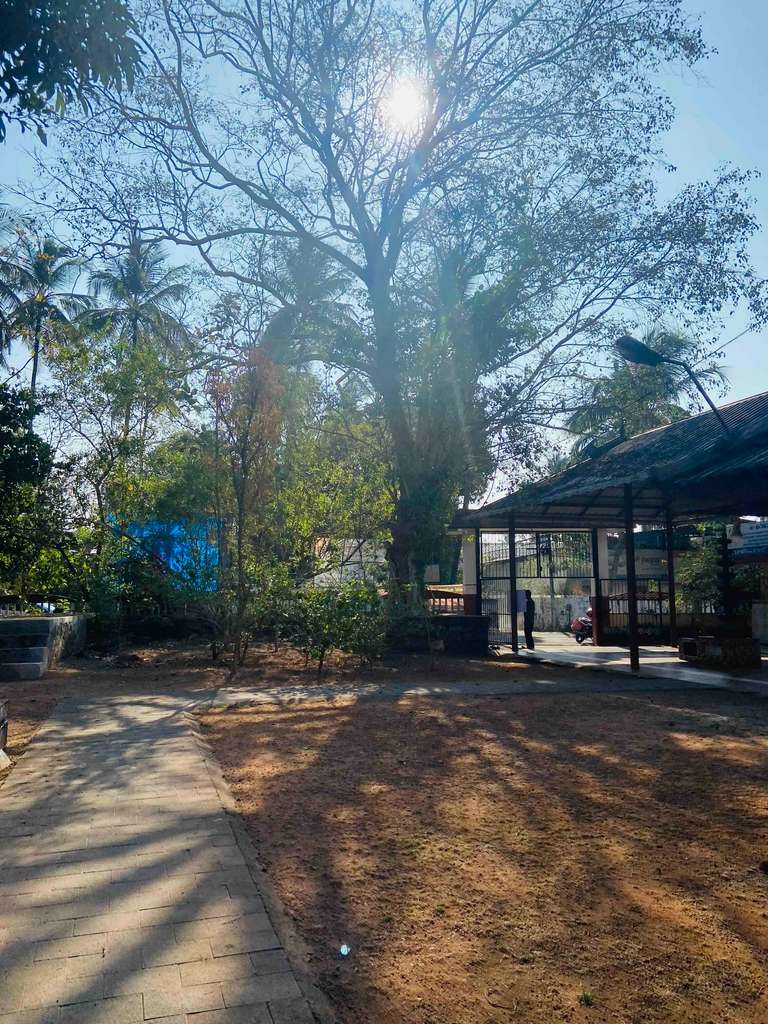Sree Ollukavu Sapthamathru Temple