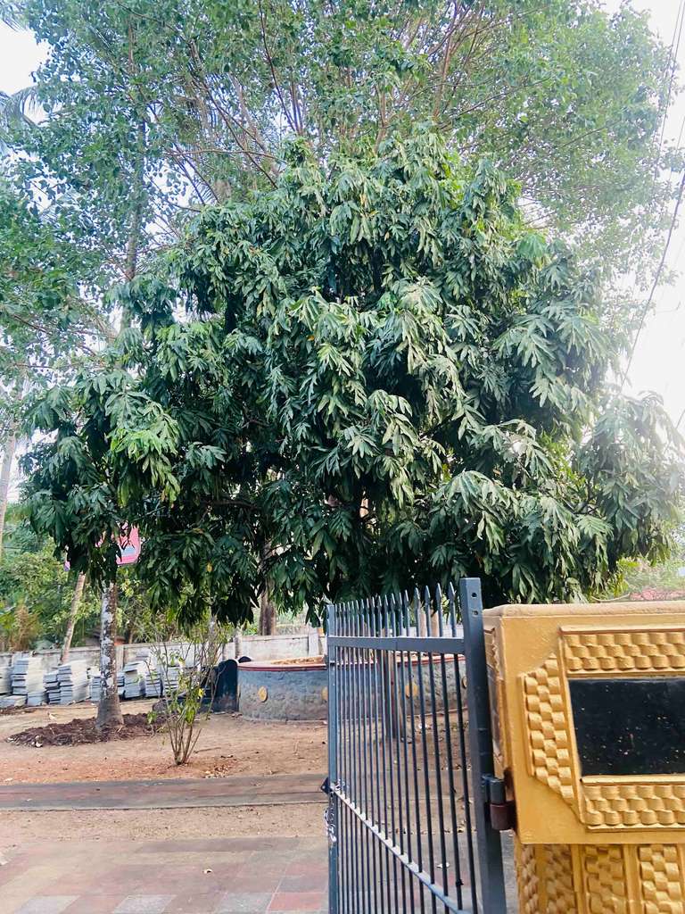 Temple
