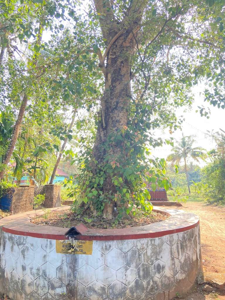 Kanimangalam Sastha Temple