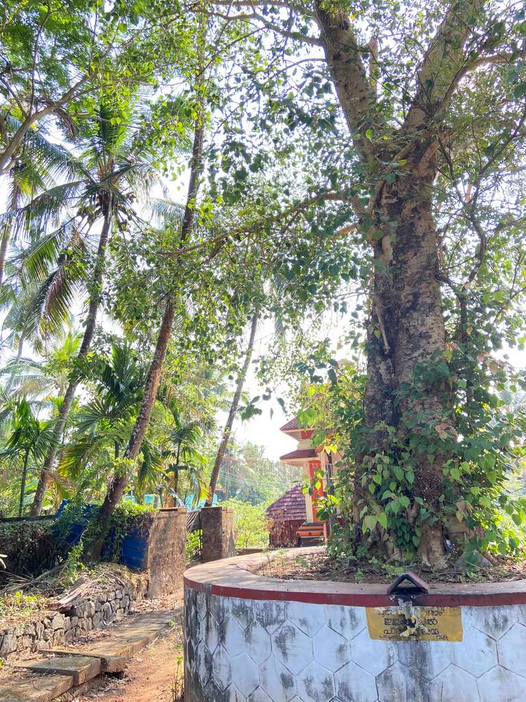 Kanimangalam Sastha Temple